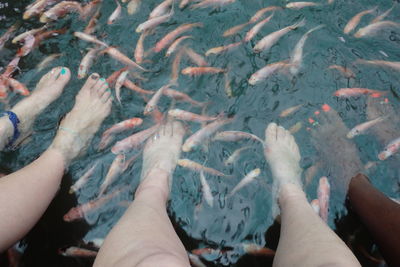 Close-up of person standing on tiled floor