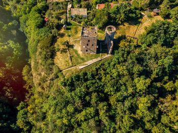 Aerial view of castle amidst trees 