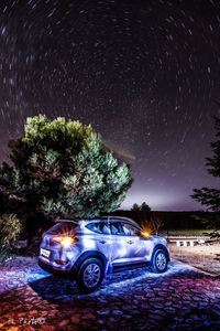 Illuminated trees at night