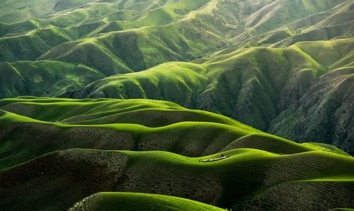 Scenic view of green landscape