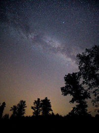 Low angle view of silhouette trees against sky at night