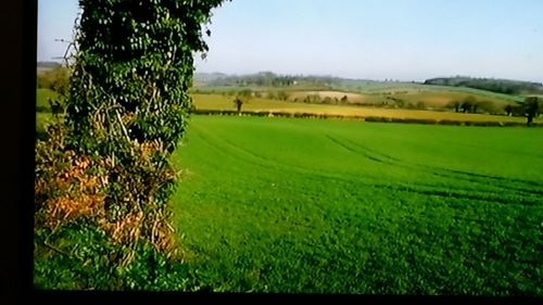 Scenic view of agricultural field against sky