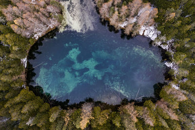 Aerial of blue freshwater spring in kitch-iti-kipi sp in michigan