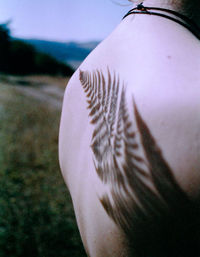 Shadow of leaves on man back