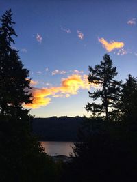 Silhouette trees by lake against sky at sunset