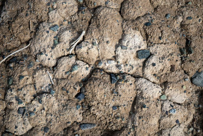 Full frame shot of a rock