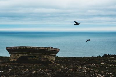 Seagull flying over sea against sky