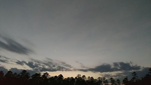 Low angle view of silhouette trees against sky