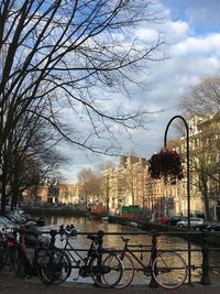 Bicycle by bare trees against sky in city