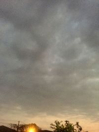 Low angle view of trees against dramatic sky