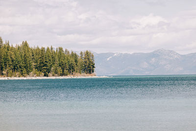 View to calm and peaceful lake tahoe in spring
