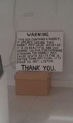 Close-up of text on wall