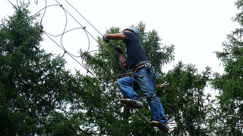 Low angle view of man standing on tree against sky