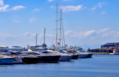 Sailboats moored in harbor