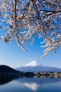 Scenic view of lake by mountains against blue sky