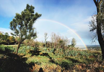 Scenic view of rainbow against sky