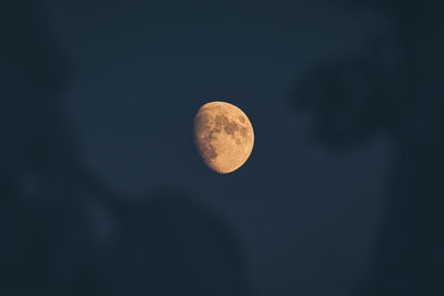 Low angle view of moon against sky at night