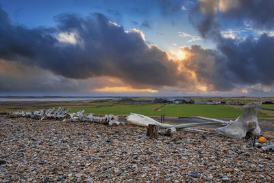 View of whale skeleton on stones at roadside against dramatic sky during sunset