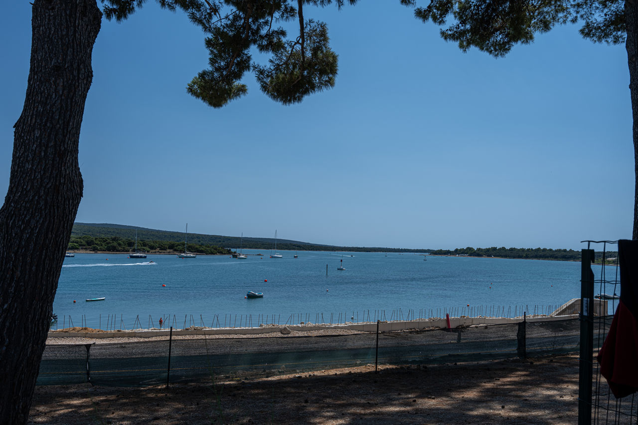 water, tree, sky, sea, beach, nature, land, plant, body of water, scenics - nature, beauty in nature, shore, tranquility, ocean, tranquil scene, tree trunk, trunk, clear sky, blue, outdoors, day, travel destinations, coast, no people, sunlight, travel, evening, holiday, reflection, vacation, sand, trip