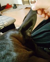 Woman hand with tattoo