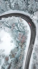 High angle view of snow covered road