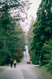 Rear view of people walking on road amidst trees
