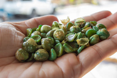 Cropped image of person holding vegetables