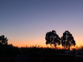 Silhouette trees on field against clear sky during sunset