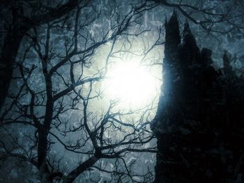 Low angle view of bare trees against sky