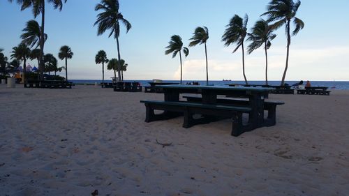 View of palm trees on beach