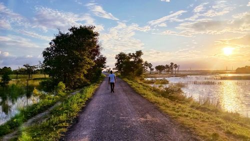 Rear view of person walking on road amidst trees against sky