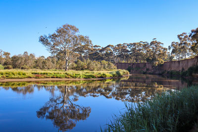 Scenic view of river against clear blue sky