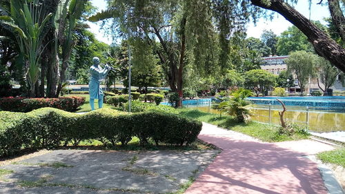 Statue amidst plants in park