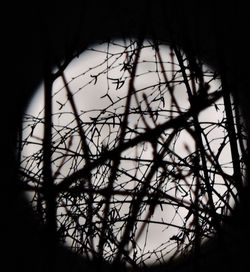 View of the dark