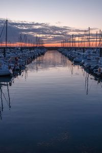 Boats in harbor at sunset