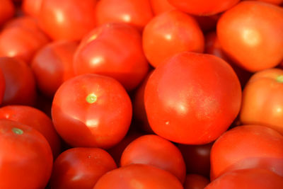 Full frame shot of fresh organic tomatoes