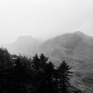 Trees on mountains against sky
