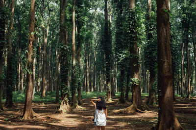 Rear view of woman standing amidst trees in forest