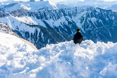 Rear view of person on snowcapped mountains