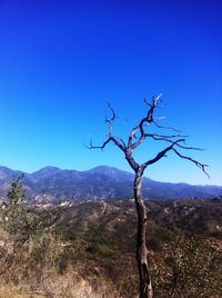 Scenic view of mountains against clear blue sky