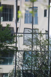 Reflection of building on glass window
