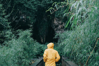 Rear view of man standing on steps amidst trees