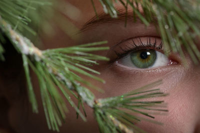 Closeup young woman with shadows from pine tree on her face