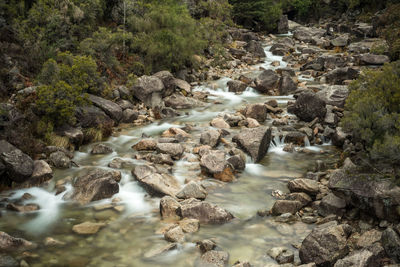 Scenic view of waterfall in forest