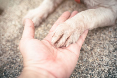 Close-up of human hand