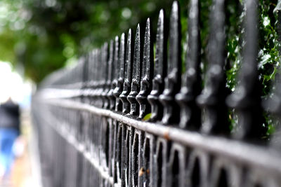 Close-up of metal fence against plants