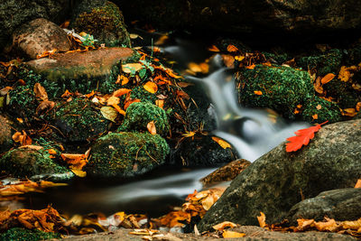 View of waterfall in forest