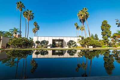 Reflection of trees in swimming pool against sky