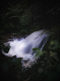 Water flowing through rocks in forest