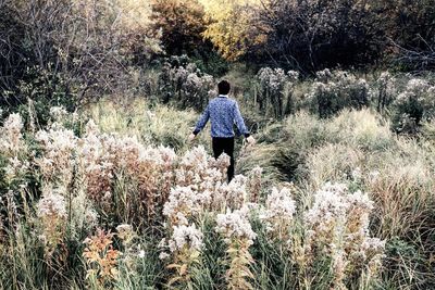 Rear view of man walking on field